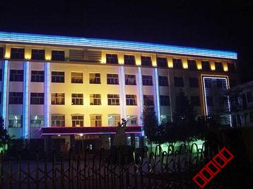 Application of LED lawn light show