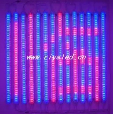 Светодиодные трубки забора / экран _RY-HLP-011