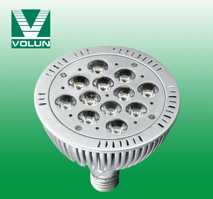 12W High Power LED Spotlight