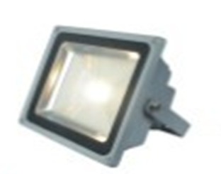 LED Floodlight