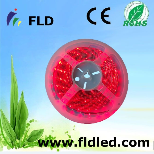 LED lights with